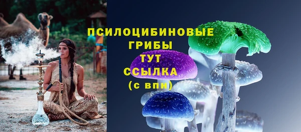мескалин Михайлов