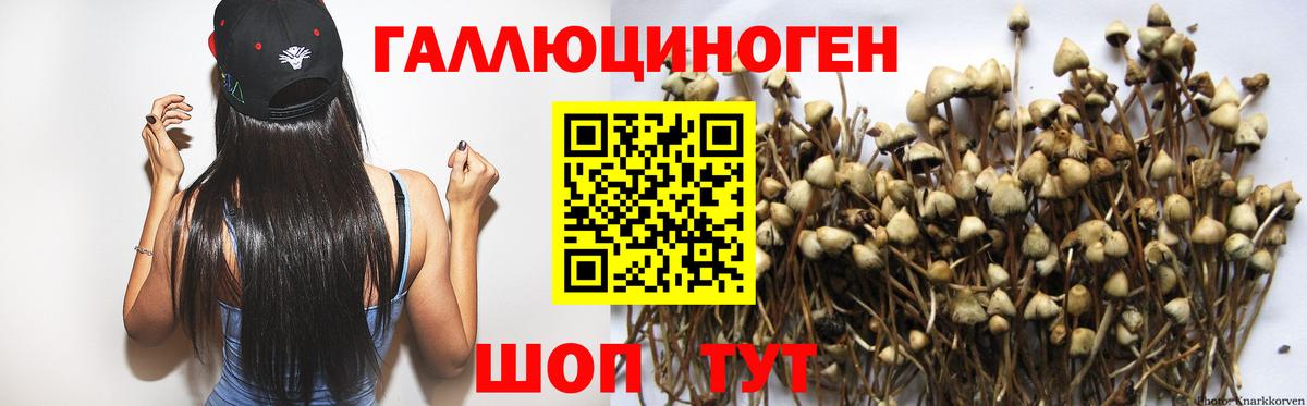 Сафоново  Псилоцибиновые грибы мухоморы  Вход с VPN 